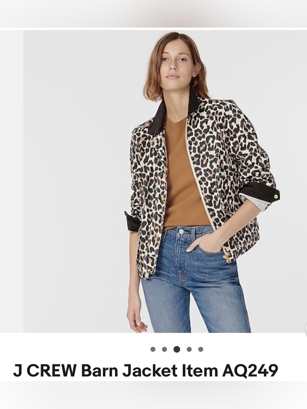 J. Crew Leopard Print Bomber Jacket in Beige, Black, Brown